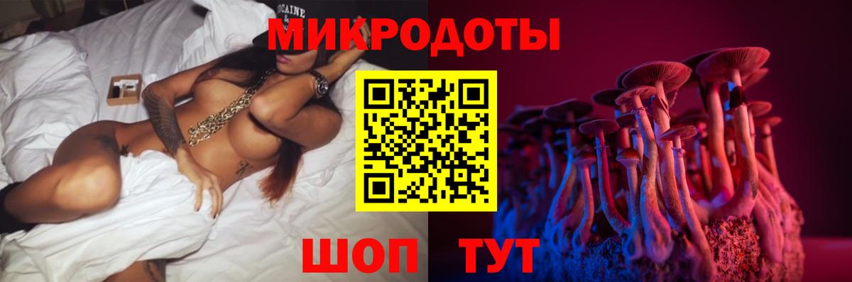 Псилоцибиновые грибы MAGIC MUSHROOMS  Вход с VPN  Серов 